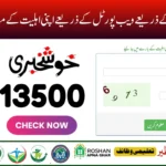8171 Check Online CNIC